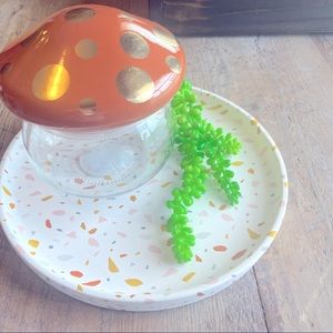 Target Bullseye Playground Mushroom jar